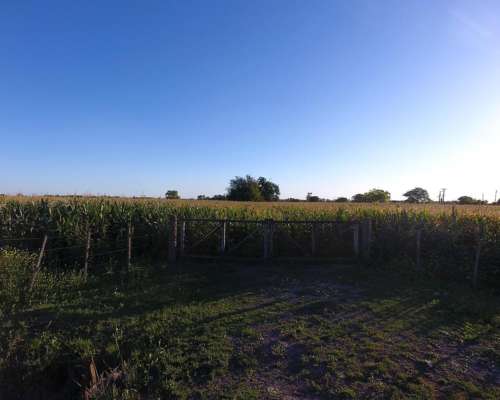 Venta Campo Agrícola. 16 HA. Recreo, Santa FE.