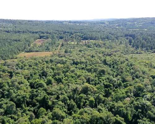 Se Vende 29 HA. con 4 Ha de Yerba Mate. Gobernador Roca Misi