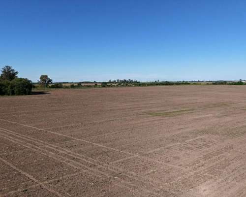 60 Has Agrícolas Departamento Iriondo. Suelo Clase 2.