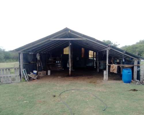 Arrendamiento Alquiler Campo Ganadero
