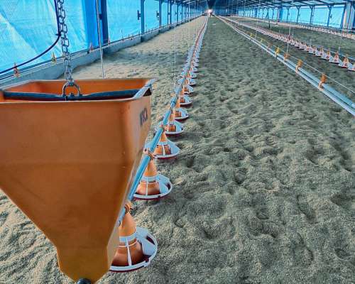 Fabricantes de Implementos Avícolas