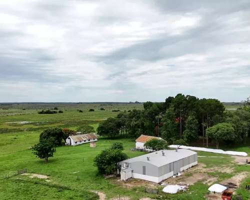 Excelente Campo Ganadero - Forestal Zona Saladas, Corrientes