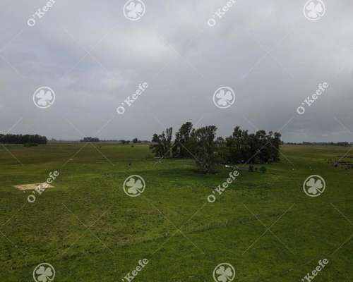 Campo en Venta de 450 Has en Magdalena. Mixto