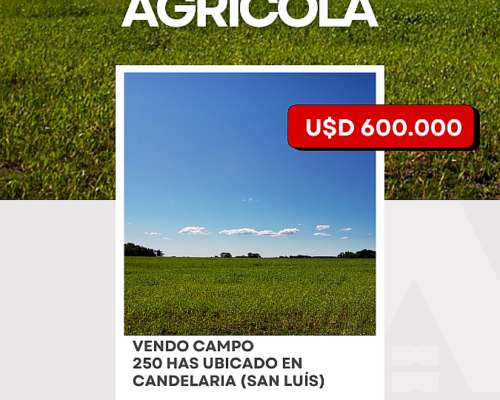 Vendo Campo en Candelaria (san Luis)