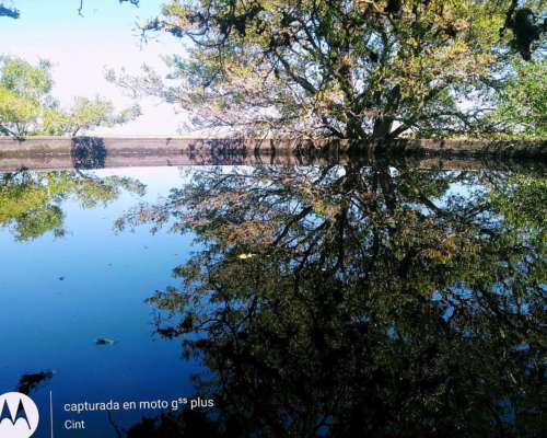 Campo en Arrendamiento en Dolores 424 Ha 4 Potreros