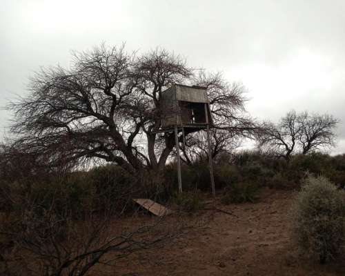 Campo Apto Coto de Caza