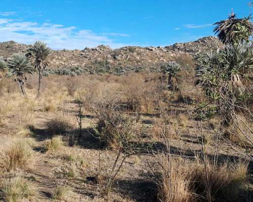 Campo de 62 Ha con Río Propio, Escritura. Caminiaga, Córdoba