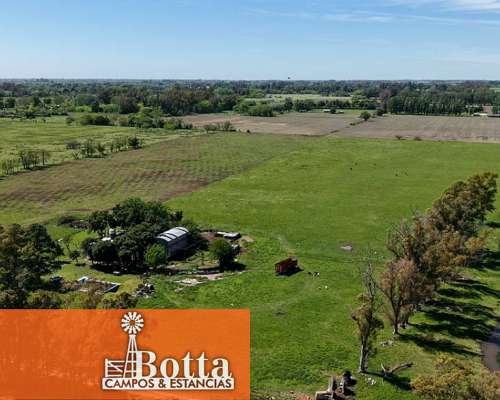 Chacra en Venta – 16 Has – Mercedes, Buenos Aires