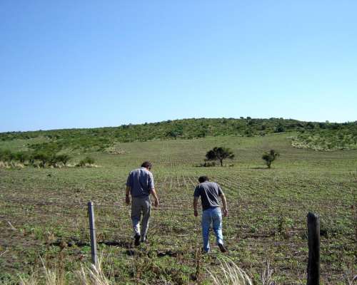 935 Hectareas en Villa Albertina