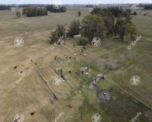 Campo en Venta 57 Has en Veronica