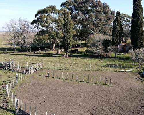 Ramos Otero, Balcarce, Buenos Aires - 148 Ha