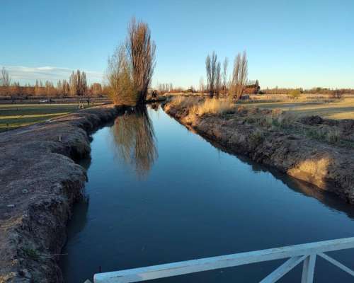 Chacra Zona Gaiman Chubut 36 Ha con Casa