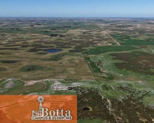 785has Mixtas en Venta en Carlos Casares