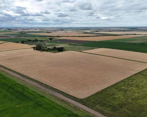 Campo Agrícola Sobre Ripio