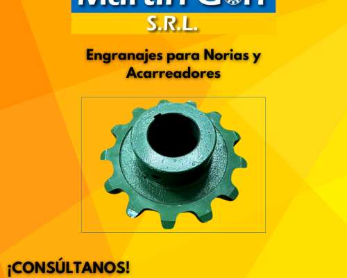 Engranajes para Norias y Acarreadores