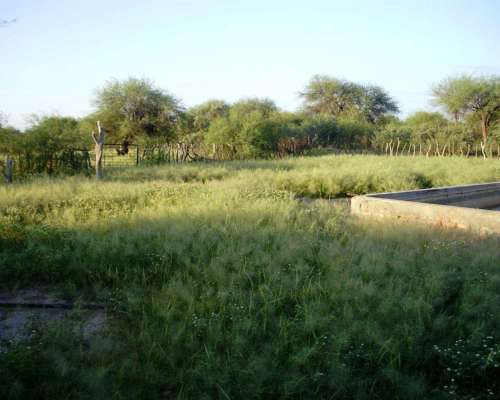 Venta de Campo en Valle Fértil, San Juan 7500 Hectáreas