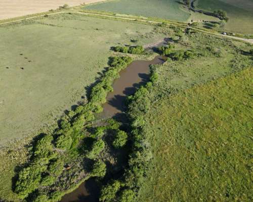 8 Ha Agrícolas Nogoyá