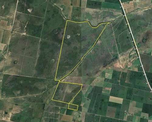 660 Hectáreas Ganaderas en Clarke