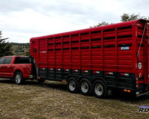 Semirremolque Homologado para Caballos Formato Americano