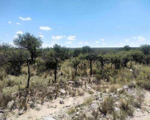 Venta de Campo en San Luis, 56 HA, con LUZ y Agua.