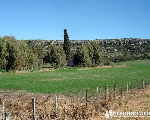 Balcarce, Buenos Aires - 118 Ha