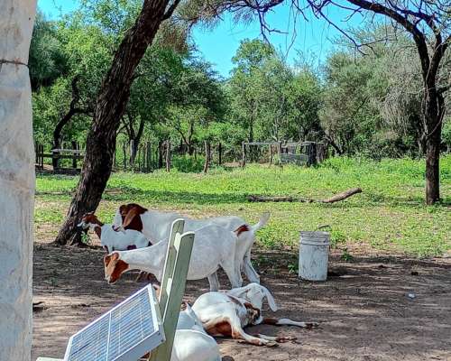 Zona General Guemes Chaco