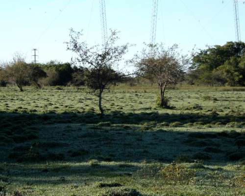 Vendo Campo a Minutos de la Capital de Corrientes