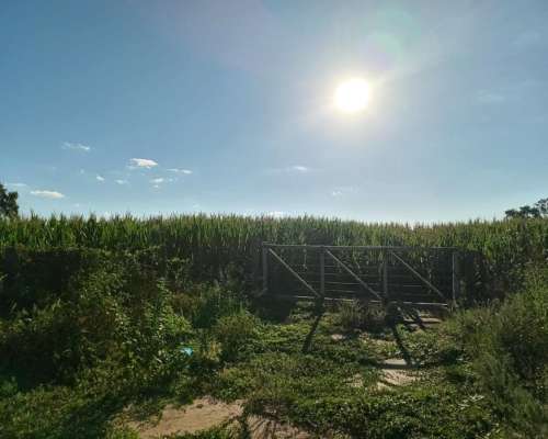 Venta 29,5 Ha Agrícolas en Capilla de Sitón