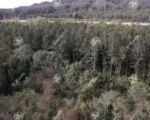 Campo Venta de 6300 Has en Oran, Salta
