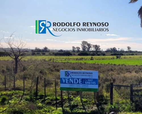 5 Hectáreas en Villa Elisa. S/ Ruta 130