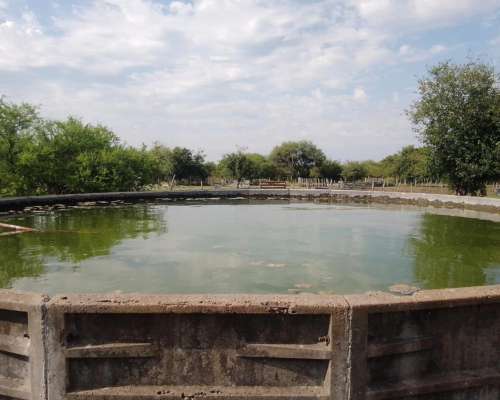 Arrendamiento Alquiler Campo Ganadero