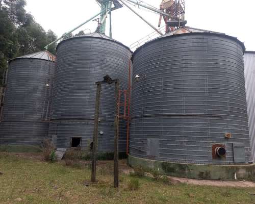 Acopio de Cereales Granos