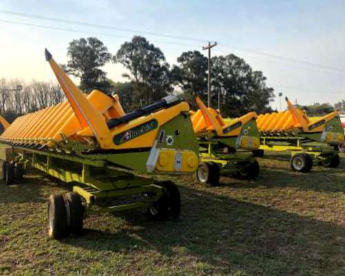 Maicero Allochis de 16 a 52 Nuevo