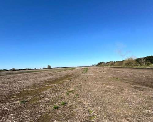 Campo Agrícola de 90 Hectáreas Sobre Ruta 9