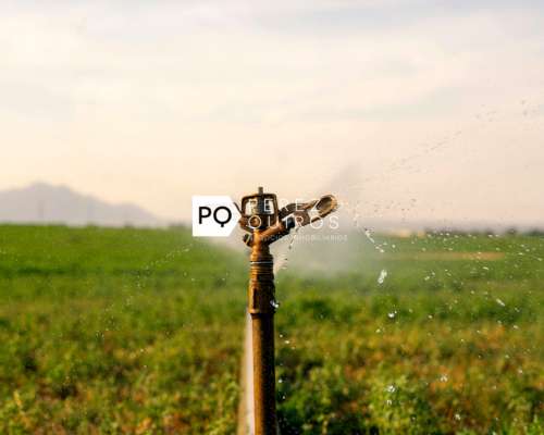 Se Vende Campo en San Luis. Oportunidad
