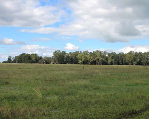 Ba3627 Venta Ganadero 491ha. Carmen de Areco, Buenos Aires