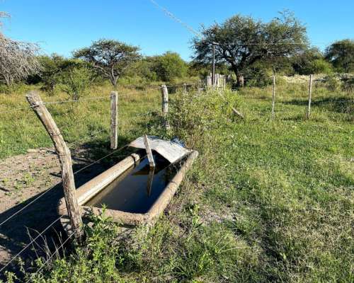 Campo Ganadero en Venta - 118 Has- Bovril, Dpto la PAZ