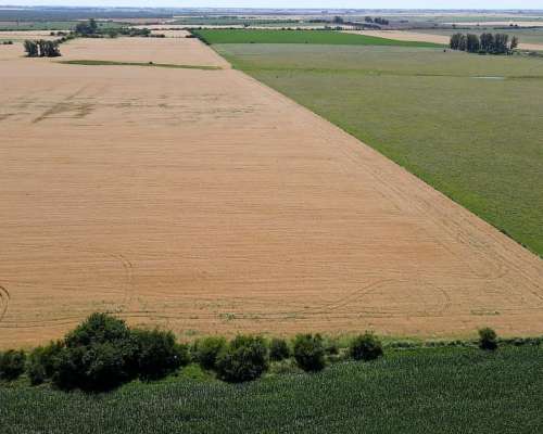 100 Hectáreas Agrícolas, Gualeguaychú.