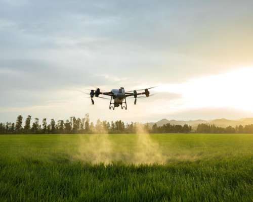 Drone DJI Agras T50 + Generador + Curso de Piloto Gratis