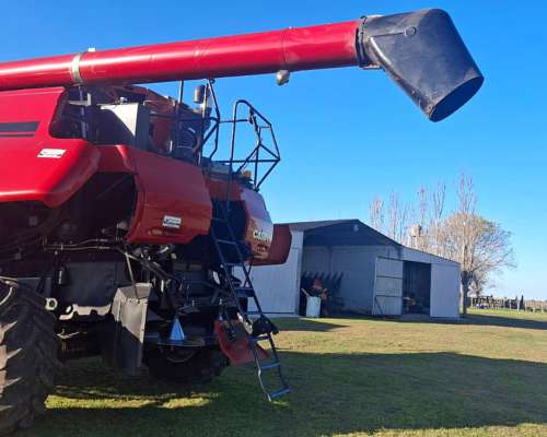 Cosechadora Case IH 7230 año 2017 + Draper Case 2019