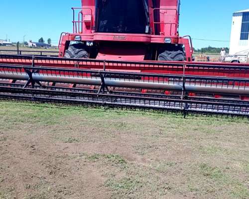 Don Roque 150 M, 28 Pies