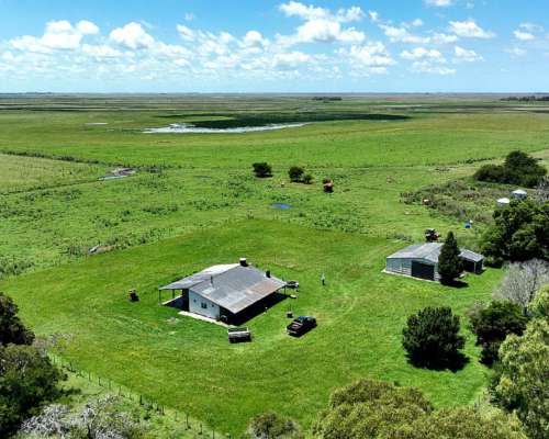 Campo Sobre Ruta en Maipú