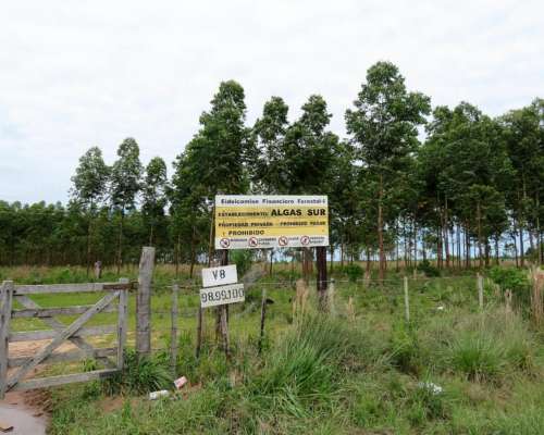 Villa Olivari - 850 Ha - Corrientes