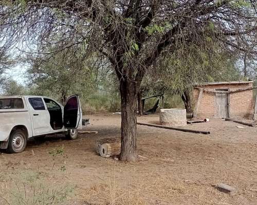 Campo en Venta Santiago del Estero