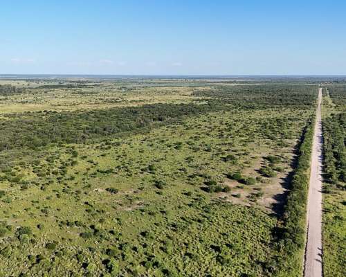 525 Hectáreas Ganaderas, Tartagal, Santa FE