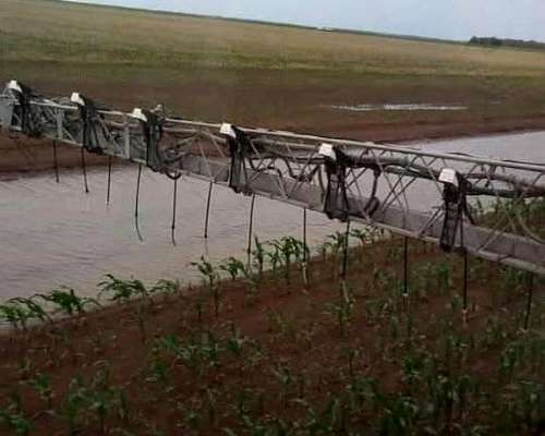 Weed IT -pulverización Selectiva-usado