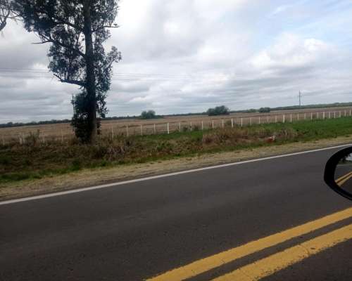 Ea 2500 Has .venta Agricolas Ruta 12