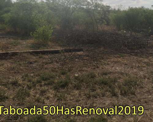Stgo, Taboada, 50 Has con Riego, Sobre Ruta 89 Asfaltada