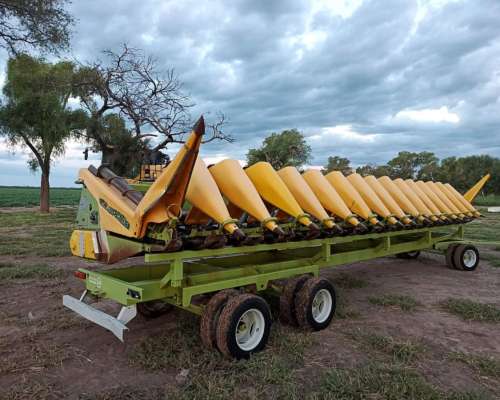 Allochis 16 a 52 año 2019