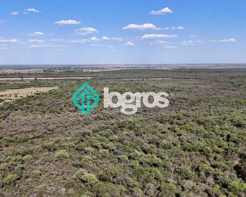 Campo en Venta de 385 Ha en Joaquín V. González, Salta